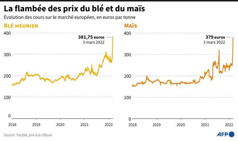 Evolution des prix du blé meunier et du maïs sur le marché européen depuis 2018 ( AFP /  )