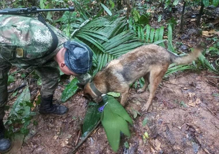 Photo diffusée par l'armée colombienne le 17 mai 2023 d'un soldat et de son chien renifleur pendant les recherches à Solano, pour retrouver quatre enfants disparus dans la jungle amazonienne, après le crash de l'avion dans lequel ils voyageaient ( Armée colombienne / Handout )