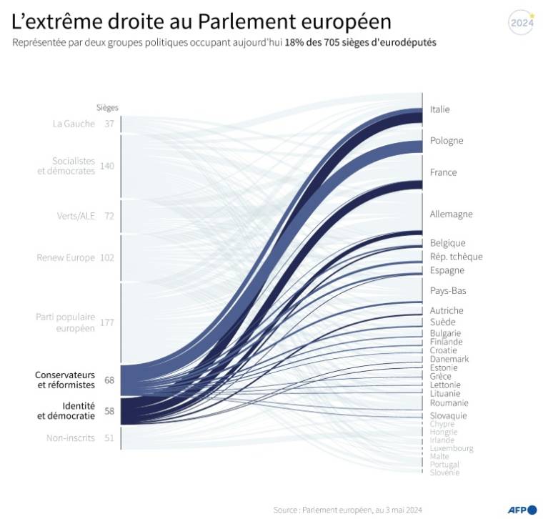 Nombre de sièges et pays représentés par les deux groupes politiques d'extrême droite au Parlement européen, à date du 3 mai 2024 ( AFP / Bertille LAGORCE )