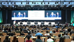 Le président de la COP29, Mukhtar Babayev, lors d'une première séance plénière de clôture de la COP29 à Bakou, le 23 novembre 2024 en Azerbaïdjan ( AFP / STRINGER )