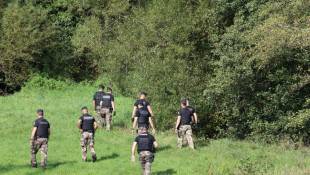 Des gendarmes participent à une battue pour retrouver l'adolescente disparue Lina, le 28 septembre 2023 à Saint-Blaise-la-Roche, dans le Bas-Rhin ( AFP / Frederick FLORIN )