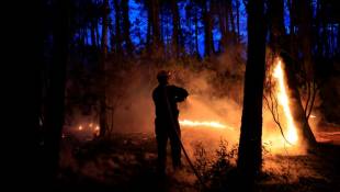 Un pompier s'attaque à un incendie de forêt près de Vidauban, dans le sud de la France, le 11 juin 2024 ( AFP / Valery HACHE )