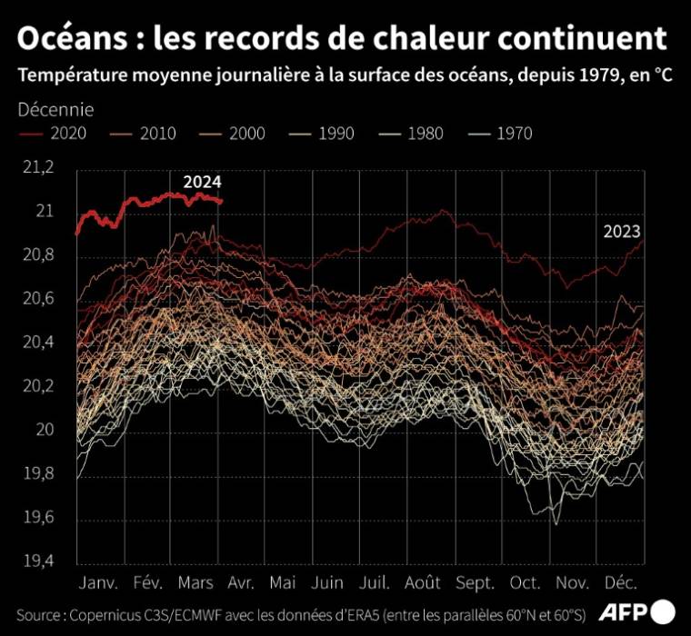 Température moyenne journalière à la surface des océans chaque année depuis 1979, entre les parallèles 60° nord et 60° sud, estimée par Copernicus C3S/ECMWF ( AFP / Nalini LEPETIT-CHELLA )