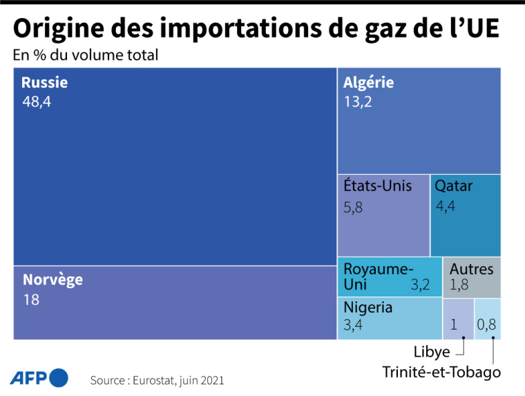 Graphique montrant la proportion et le pays d'origine du gaz importé par l'Union européenne ( AFP /  )