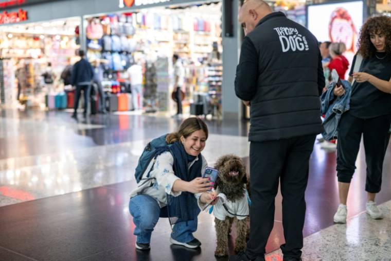Une voyageuse fait un selfie avec Kuki, un chien de thérapie pour réconforter les passagers stressés avant leur embarquement à l'aéroport d'Istanbul, le 3 mai 2024 en Turquie ( AFP / Yasin AKGUL )