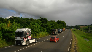 Des chauffeurs de poids lourd  lors d'une opération de protestation le 24 septembre 2024, à La Trinité, en Martinique ( AFP / Ed JONES )