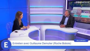 Guillaume Demulier (président de Roche Bobois) : "L'objectif est de faire aussi bien que le chiffre d'affaires record de 2023 !"