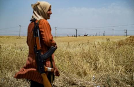 Une volontaire kurde garde un champ de blé près de la localité d'al-Qahtaniyah, dans le nord-est de la Syrie, le 30 mai 2024 ( AFP / Delil SOULEIMAN )