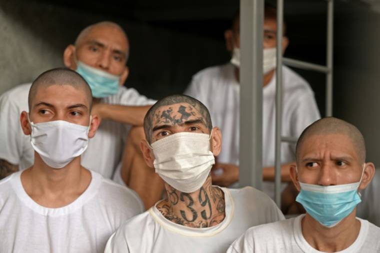 Des détenus dans une cellule de la méga-prison du Centre de Confinement Antiterroriste (CECOT), où sont emprisonnés des membres des gangs MS-13 et 18 Street, le 21 août 2023 à Tecoluca, au Salvador ( AFP / Marvin RECINOS )