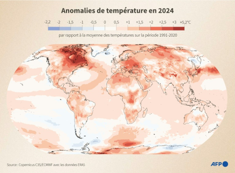 Anomalies de température en 2024 ( AFP / Elouan BLAT )