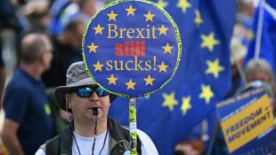 Manifestation en faveur du retour du Royaume-Uni au sein de l'Union européenne, le 23 septembre 2023 à Londres ( AFP / JUSTIN TALLIS )