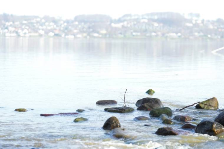 Vue du fjord pour lequel des "funérailles" ont été symboliquement célébrées pour dénoncer son asphyxie par les activités humaines, le 6 mars 2024 à Vejle, dans l'ouest du Danemark ( Ritzau Scanpix / Claus Fisker )