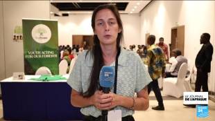 RD Congo : le 2ème poumon de la planète mobilise