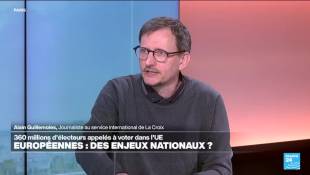 Alain Guillemoles : "Les élections européennes, des scrutins nationaux ?"