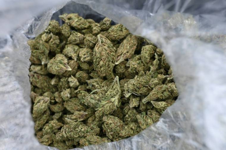 70 kg de cannabis ont été découverts chez la maire d'Avallon dans l'Yonne, Jamilah Habsaoui, lors de perquisitions réalisées dans le cadre d'une opération judiciaire ( AFP / Robyn Beck )