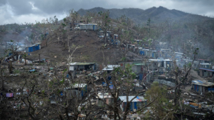 Des cabanes de tôles déjà reconstruites à Cavani, quartier pauvre de Mamoudzou, à Mayotte, le 2 janvier 2025 ( AFP / JULIEN DE ROSA )