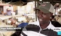 Tabaski au Sénégal : la course au mouton lancée