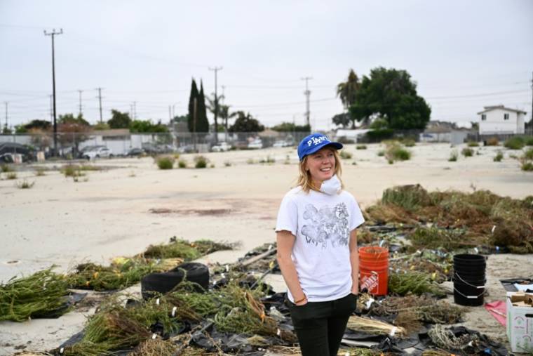 La chercheuse Danielle Stevenson, au milieu des plantes qu'elle utilise pour dépolluer une friche industrielle de Los Angeles, le 19 mai 2023 ( AFP / Patrick T. Fallon )