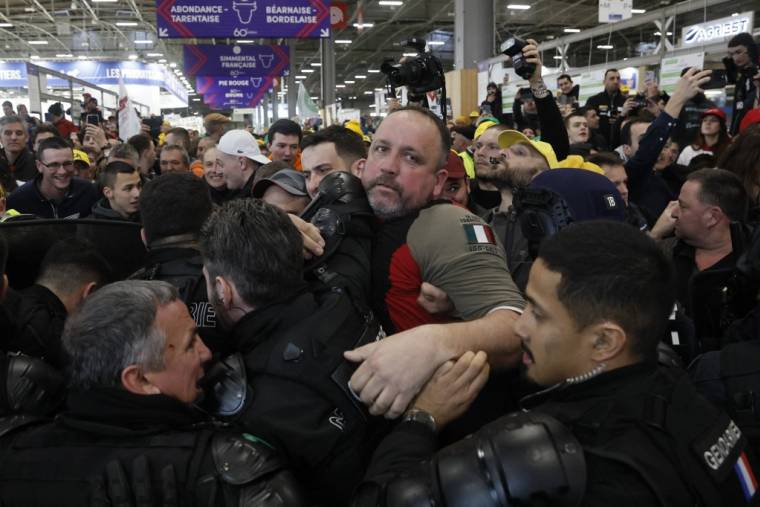 Des manifestants et des gendarmes au Salon de l'agriculture, à Paris, le 24 février 2024. ( AFP / KIRAN RIDLEY )