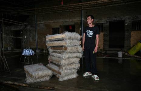 L'éleveur de vers à soie Zhu Huangyi, qui a perdu les deux tiers de sa production en raison des inondations, dans son local du village de Sancun, à Yingde, dans la province chinoise du Guangdong, le 25 avril 2024 ( AFP / Hector RETAMAL )