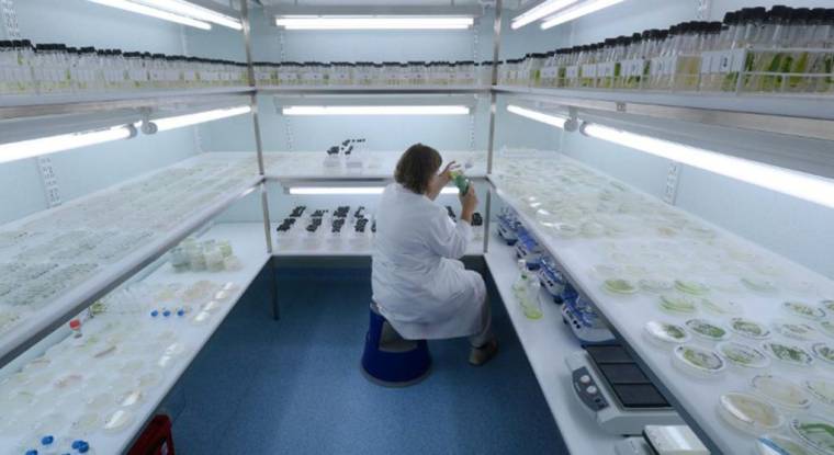 Une chercheuse au travail dans un laboratoire de Fermentalg. (© M. Fedouach / AFP)