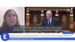 Budget 2025 : pourquoi Michel Barnier a tort de vouloir taxer davantage l'électricité !