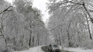 La neige à Thiron Gardais, en Eure-et-Loir, le 21 novembre 2024 ( AFP / JEAN-FRANCOIS MONIER )