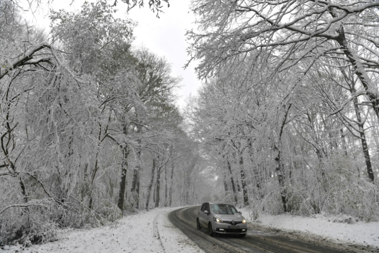 La neige à Thiron Gardais, en Eure-et-Loir, le 21 novembre 2024 ( AFP / JEAN-FRANCOIS MONIER )