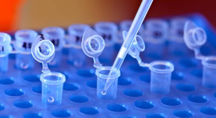 Nanobiotix est une biotech spécialisée en cancérologie. (© University of Michigan)