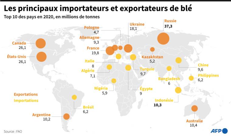 Les principaux exportateurs et importateurs de blé. ( AFP /  )