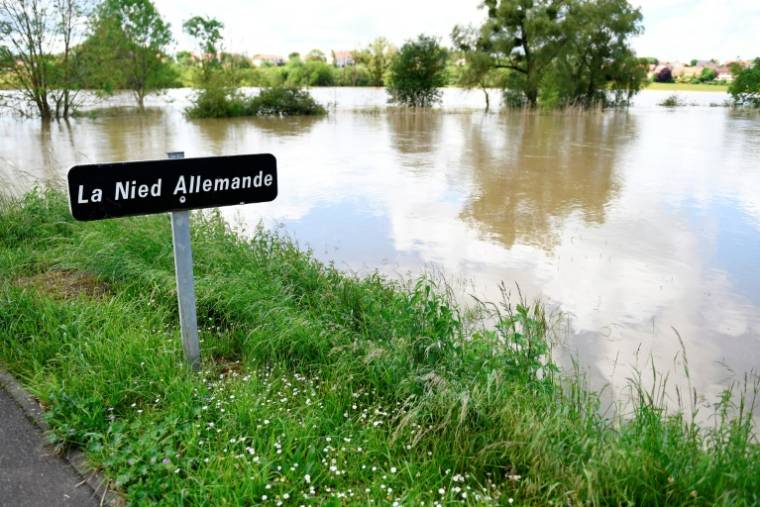 La rivière Nied allemande a débordé à Créhange, en Moselle, le 18 mai 2024 ( AFP / Jean-Christophe VERHAEGEN )