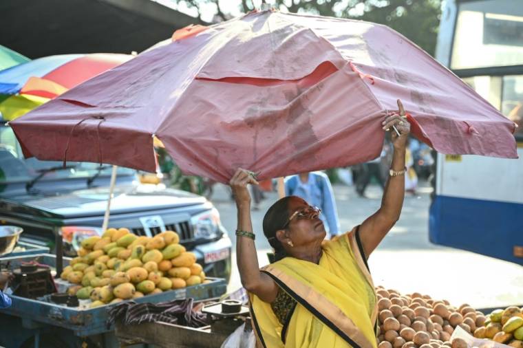 Une commerçante installe un parasol pour protéger son étal du soleil par une chaude journée d'été, le 29 avril 2024 à Bangalore, en Inde ( AFP / Idrees MOHAMMED )