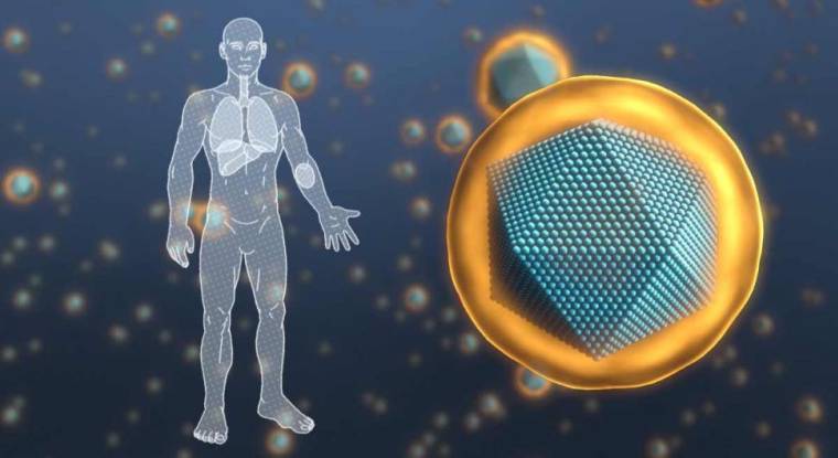 Nanobiotix développe des traitements contre le cancer à base de nanoparticules. (Nanobiotix)