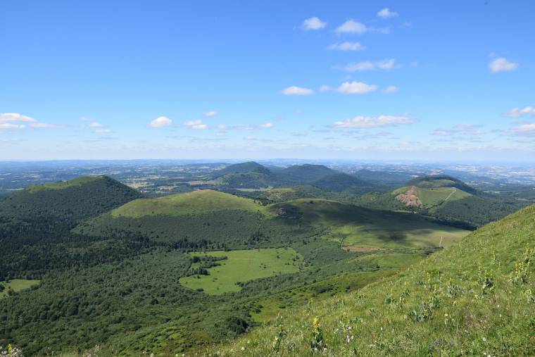 C'est en Auvergne que les prix sont les plus accessibles (Crédits photo : Pixabay - ClaraMD )