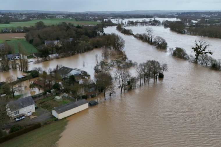 Des maisons en zone inondée après le débordement de la Vilaine, à Guipry-Messac (Ille-et-Vilaine), le 27 janvier 2025 ( AFP / DAMIEN MEYER )