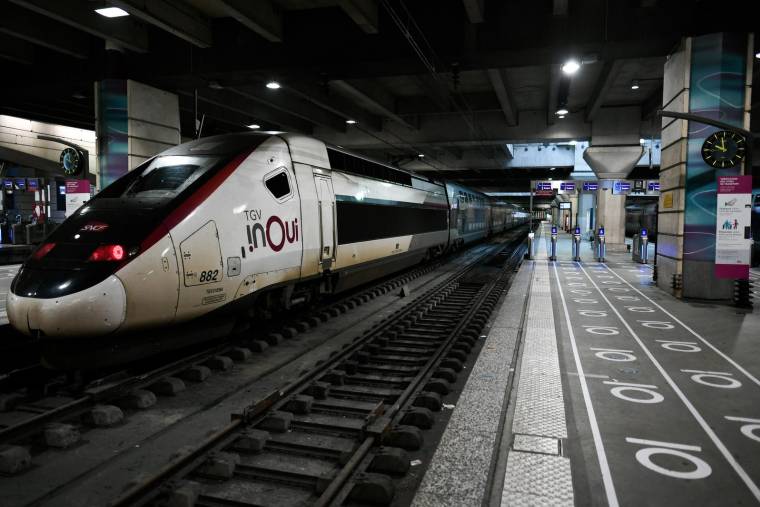 Une vingtaine de trains grandes lignes sur 700 prévus vont être affectés par les grèves, vendredi 16 décembre ( AFP / STEPHANE DE SAKUTIN )