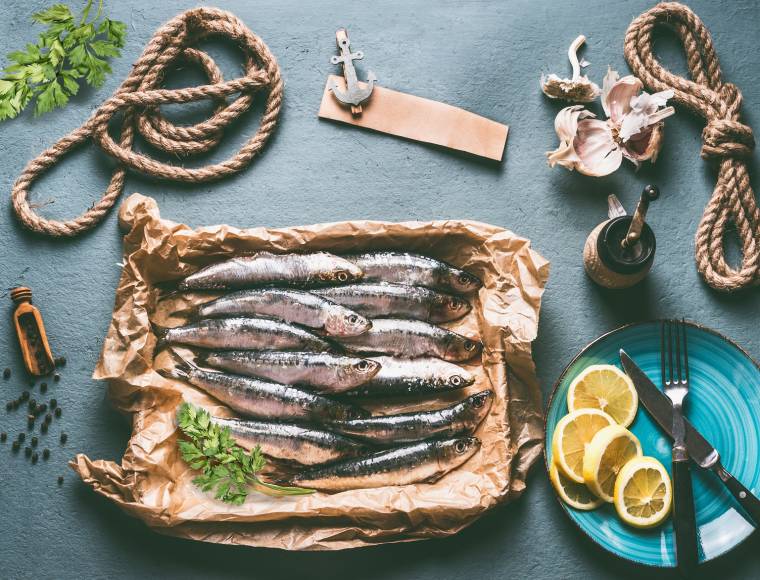 Des sardines pour faire le plein de vitamines ! - Conserves de Poissons