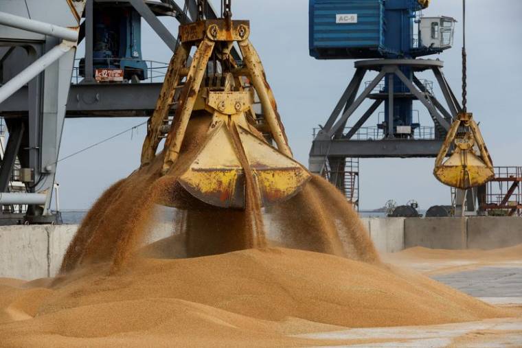 Des céréales de blé chargées dans le cargo Mezhdouretchensk dans le port de Marioupol