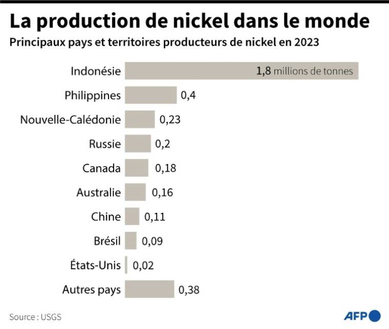 Classement des principaux pays et territoires producteurs de nickel dans le monde en 2023, selon l'Institut d'études géologiques des Etats-Unis (USGS) ( AFP / Paz PIZARRO )