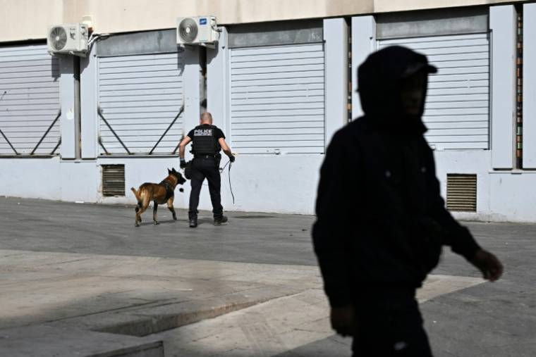 Des policiers et un chien renifleur en patrouille à Marseille, le 21 mars 2024  ( AFP / Nicolas TUCAT )