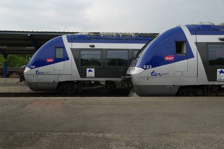 Pourquoi certains TER ne s’affichent-ils pas sur le site de la SNCF? (Crédit photo: Joseph FURST - Pixabay)