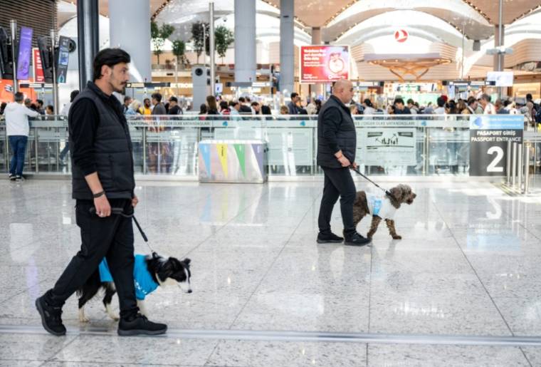 Les chiens de thérapie Alita (g) et Kuki et leurs accompagnateurs dans le hall d'embarquement de l'aéroport d'Istanbul, le 3 mai 2024 en Turquie ( AFP / Yasin AKGUL )