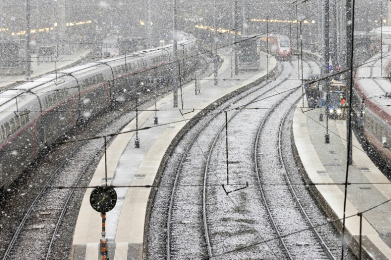 Les voies ferrées de la gare du Nord sous la neige dans le centre de Paris, le 21 novembre 2024 ( AFP / JOEL SAGET )