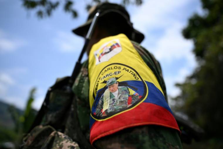 Un membre du Front Carlos Patino, faction de la dissidence des Farc, près de champs de coca dans le canyon del Micay, dans le département du Cauca, le 24 mars 2024 en Colombie  ( AFP / Raul ARBOLEDA )