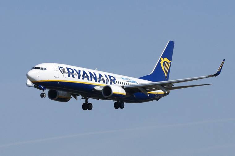 Les actions de Ryanair perdaient 1,04% à 16,11 euros vendredi matin à la Bourse de Londres. ( AFP / PAU BARRENA )