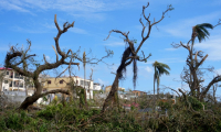 Les dommages du cyclone Chido à Pamandzi, à Mayotte, le 17 décembre 2024 ( AFP / Dimitar DILKOFF )