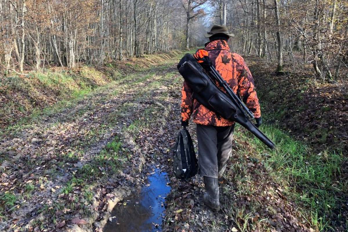 Est-il possible d'interdire la chasse le dimanche ?