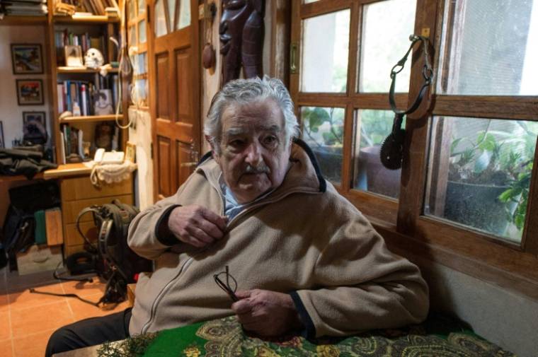 L'ancien président de l'Uruguay, Jose "Pepe" Mujica, le 9 juillet 2014 chez lui, dans les environs de Montevideo ( AFP / DANIEL CASELLI )