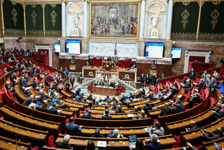 L'assemblée nationale, le 3 février 2025, à Paris ( AFP / Bertrand GUAY )