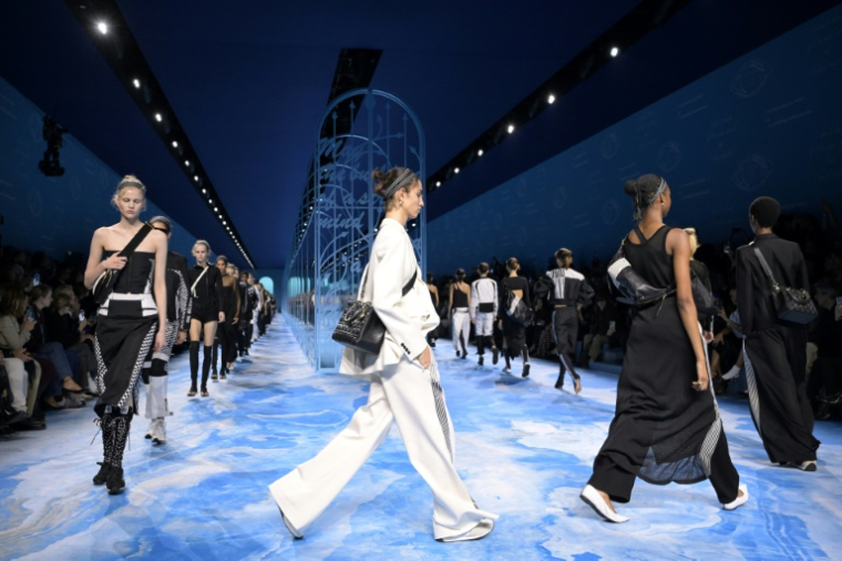 Défilé Dior de la collection prêt-à-porter féminin printemps-été 2025 à la Fashion Week de Paris, le 24 septembre 2024 ( AFP / Bertrand GUAY )